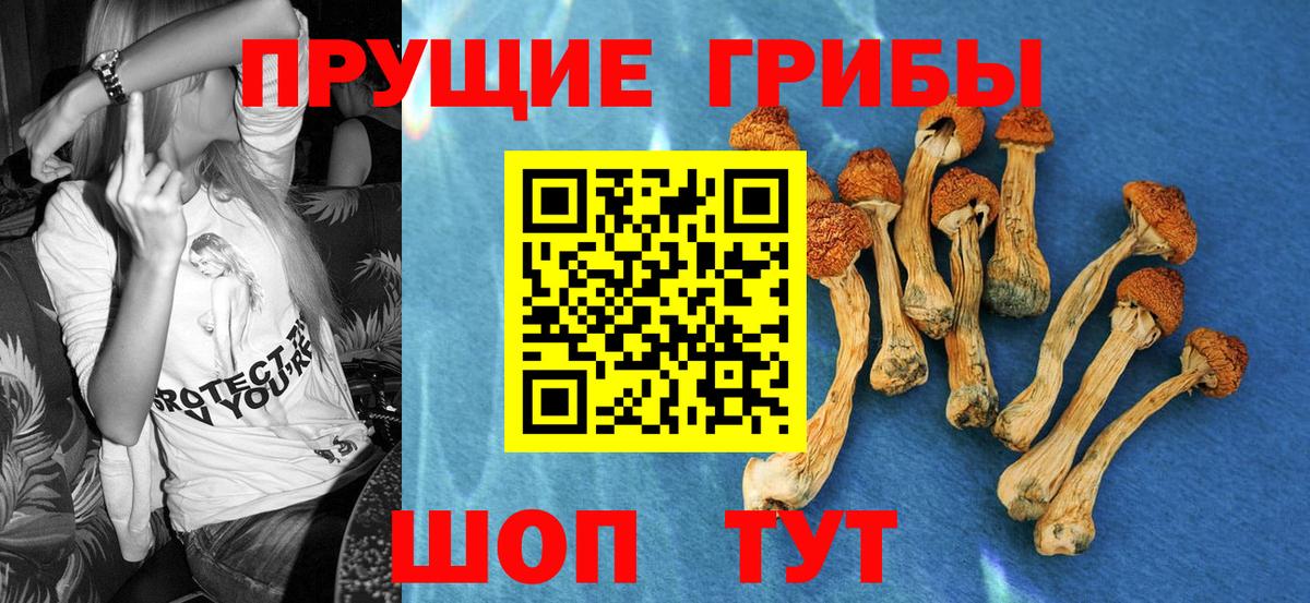 Галлюциногенные грибы мухоморы Норильск
